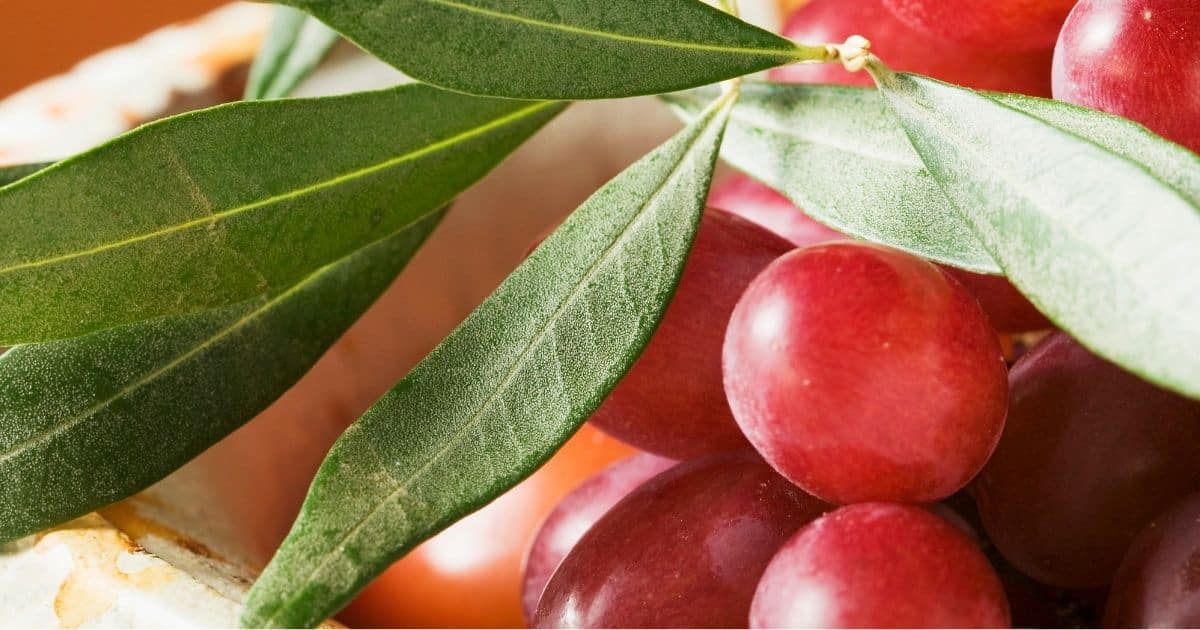 Foods that Decrease Estrogen