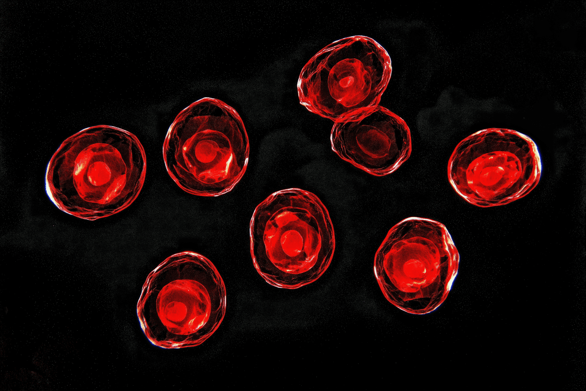 Blood sample for nutritional markers
