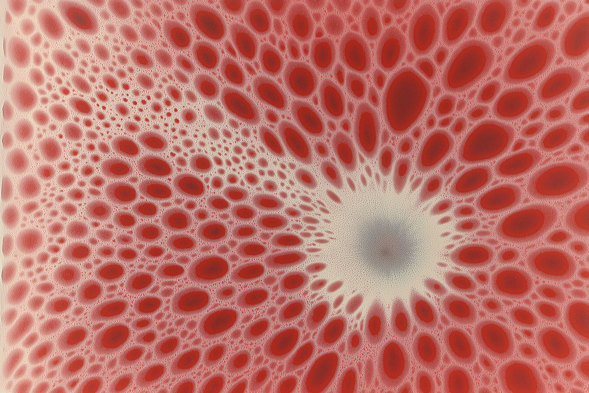 Warm macro tissue imagery